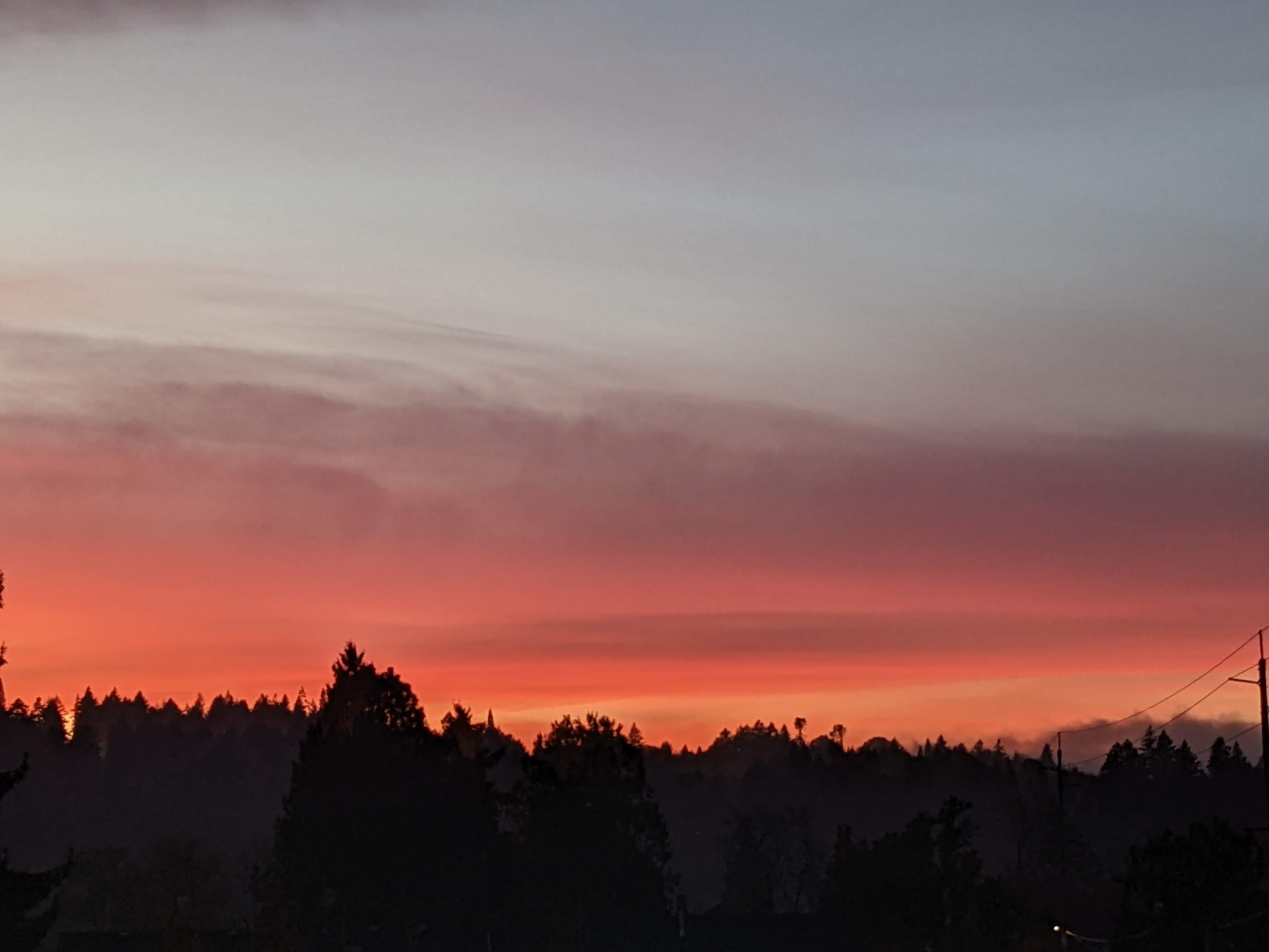 Sunset with pink, orange, and purple clouds and the outline of the tree line along the bottom.